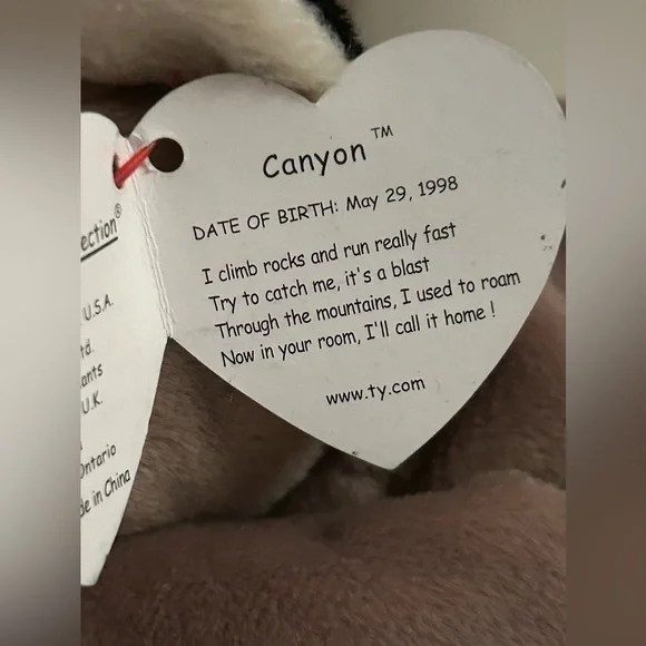 Canyon is one of the cutest kitty versions of the beanie baby series. - Picture 13 of 13